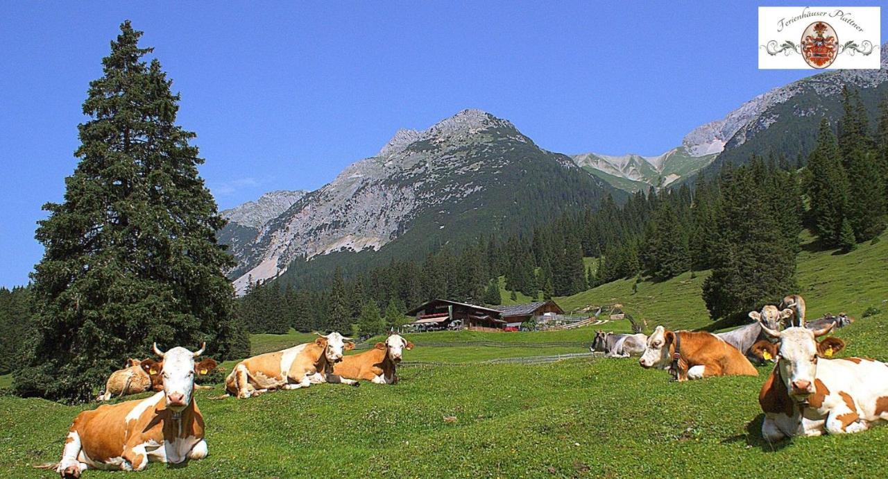 Ferienhaus Erika Seefeld in Tirol Dış mekan fotoğraf